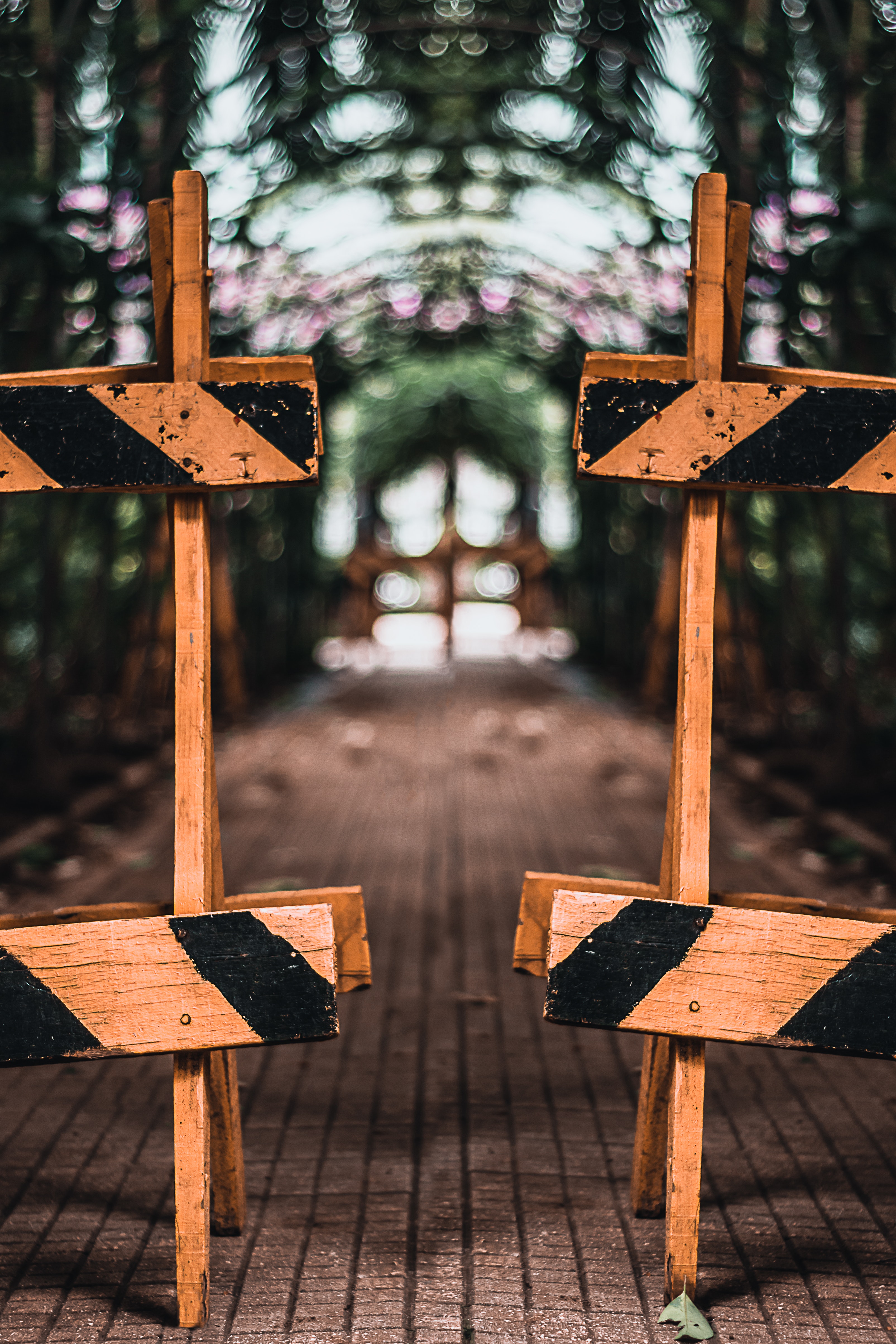 this used to be photo